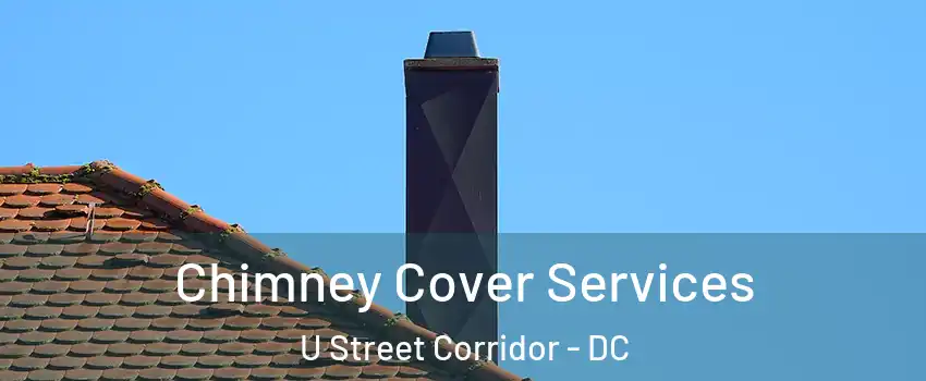 Chimney Cover Services U Street Corridor - DC