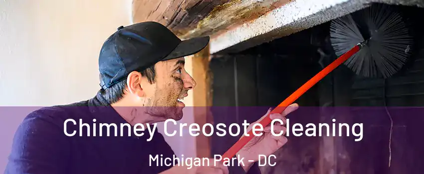 Chimney Creosote Cleaning Michigan Park - DC