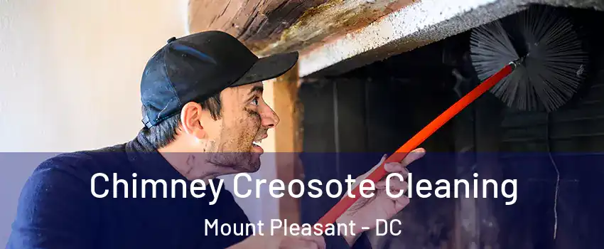 Chimney Creosote Cleaning Mount Pleasant - DC