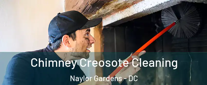 Chimney Creosote Cleaning Naylor Gardens - DC