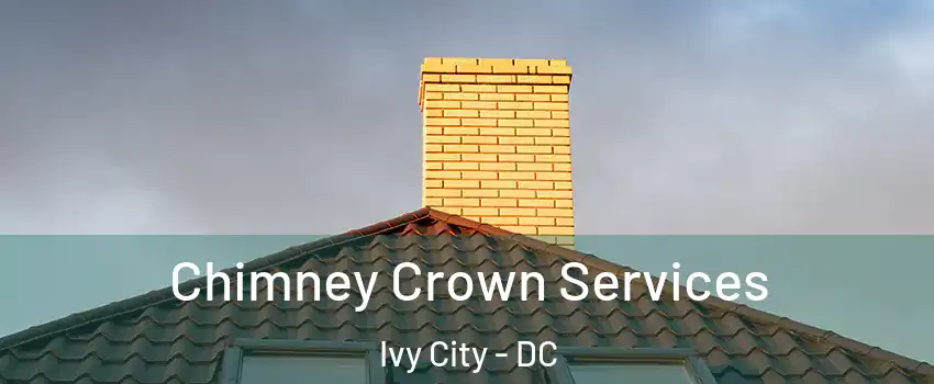 Chimney Crown Services Ivy City - DC