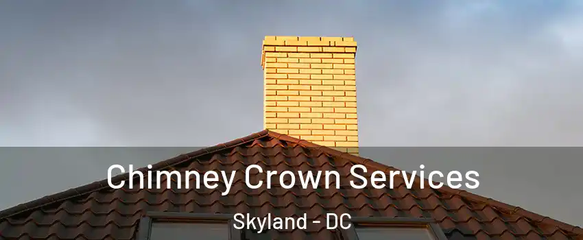 Chimney Crown Services Skyland - DC