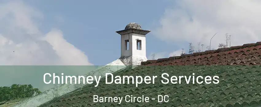 Chimney Damper Services Barney Circle - DC