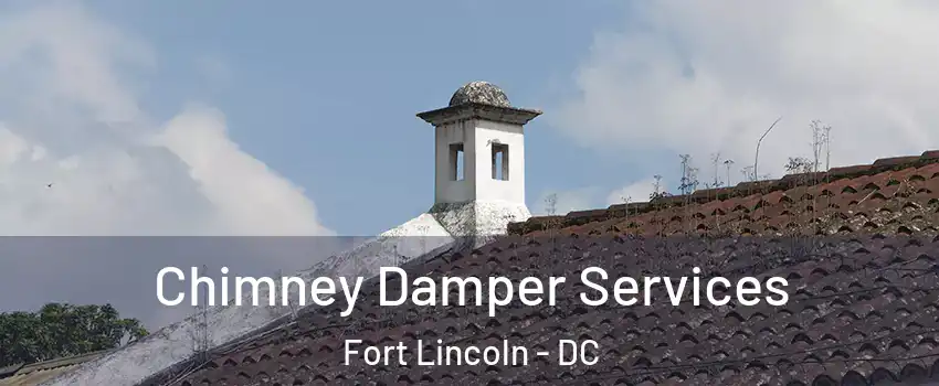 Chimney Damper Services Fort Lincoln - DC