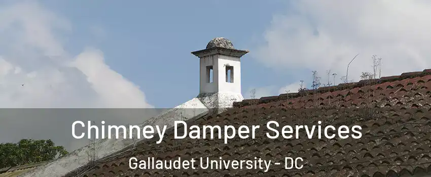 Chimney Damper Services Gallaudet University - DC