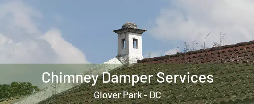 Chimney Damper Services Glover Park - DC
