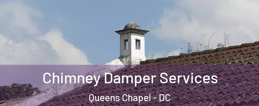 Chimney Damper Services Queens Chapel - DC