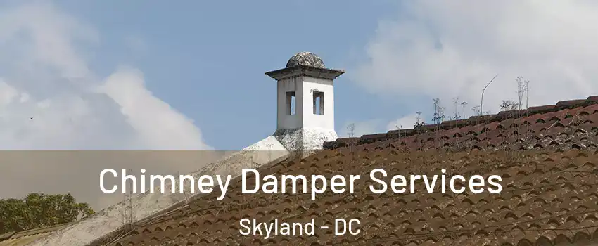 Chimney Damper Services Skyland - DC
