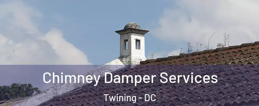 Chimney Damper Services Twining - DC