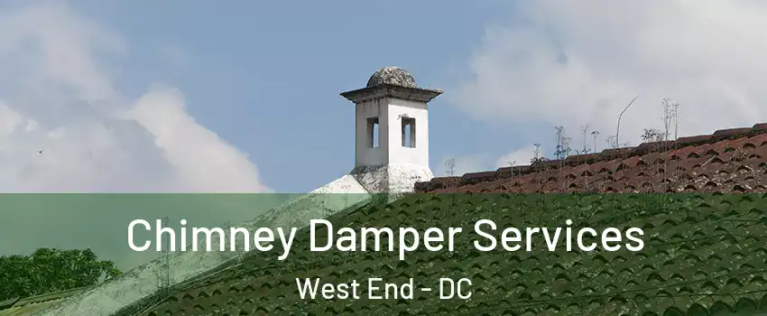 Chimney Damper Services West End - DC