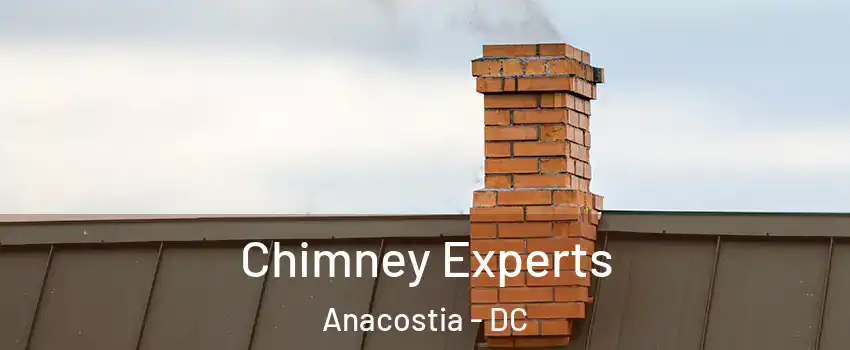 Chimney Experts Anacostia - DC
