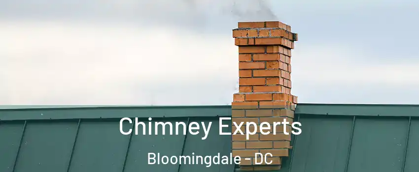 Chimney Experts Bloomingdale - DC