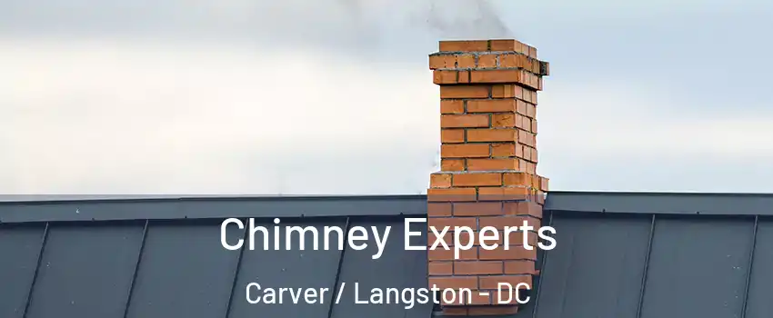 Chimney Experts Carver / Langston - DC