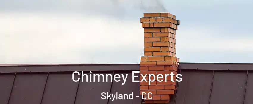 Chimney Experts Skyland - DC