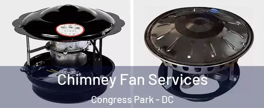 Chimney Fan Services Congress Park - DC