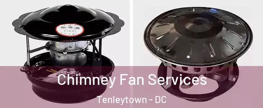 Chimney Fan Services Tenleytown - DC