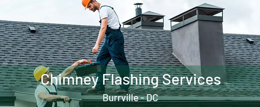 Chimney Flashing Services Burrville - DC
