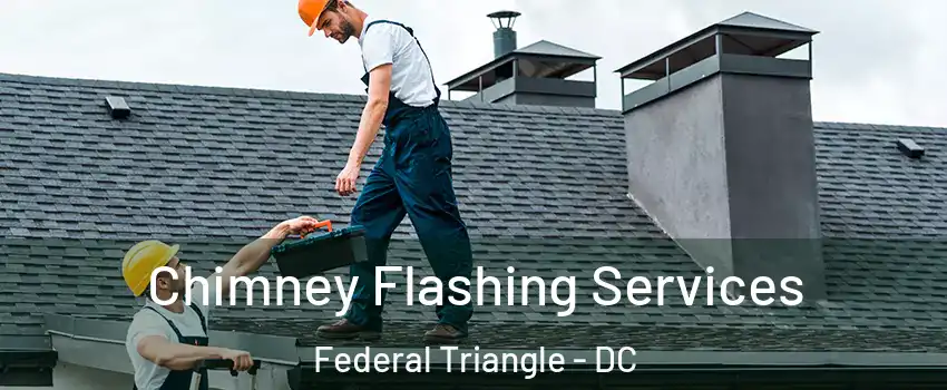 Chimney Flashing Services Federal Triangle - DC