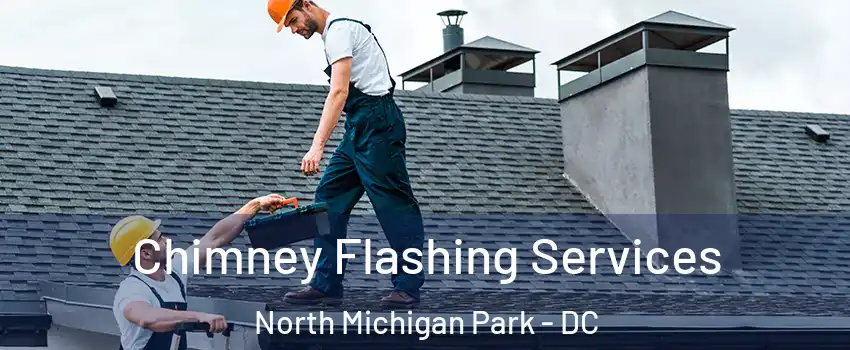 Chimney Flashing Services North Michigan Park - DC
