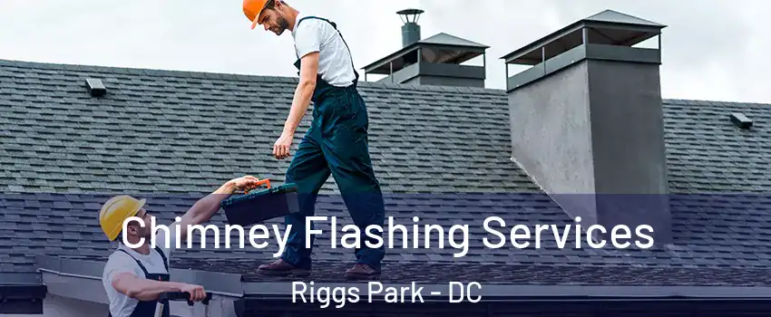 Chimney Flashing Services Riggs Park - DC