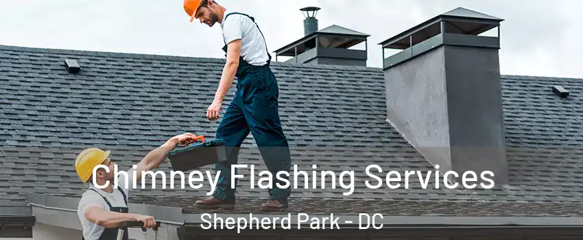 Chimney Flashing Services Shepherd Park - DC