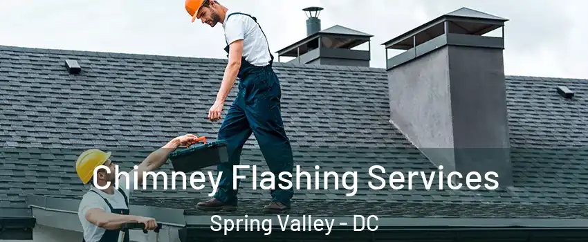 Chimney Flashing Services Spring Valley - DC