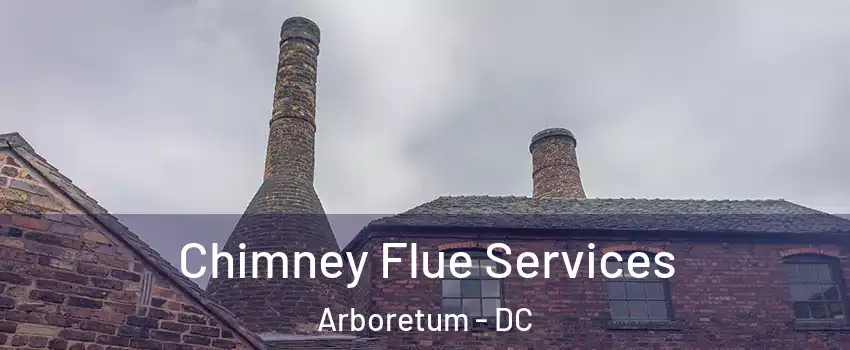 Chimney Flue Services Arboretum - DC