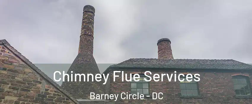 Chimney Flue Services Barney Circle - DC
