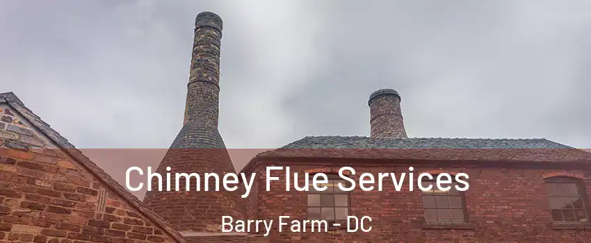 Chimney Flue Services Barry Farm - DC
