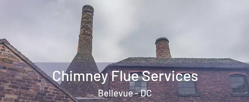 Chimney Flue Services Bellevue - DC