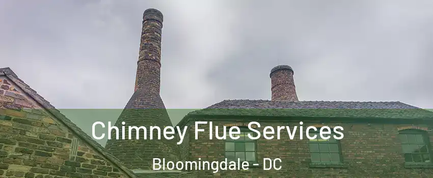 Chimney Flue Services Bloomingdale - DC
