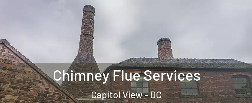 Chimney Flue Services Capitol View - DC