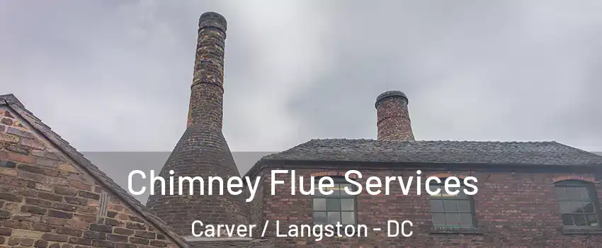 Chimney Flue Services Carver / Langston - DC
