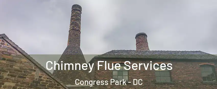 Chimney Flue Services Congress Park - DC