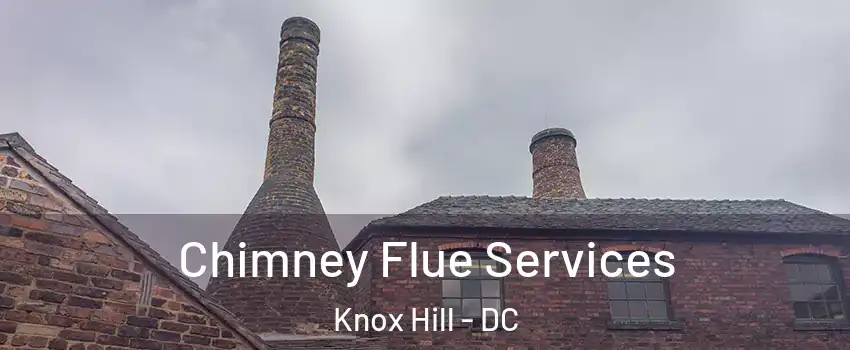 Chimney Flue Services Knox Hill - DC