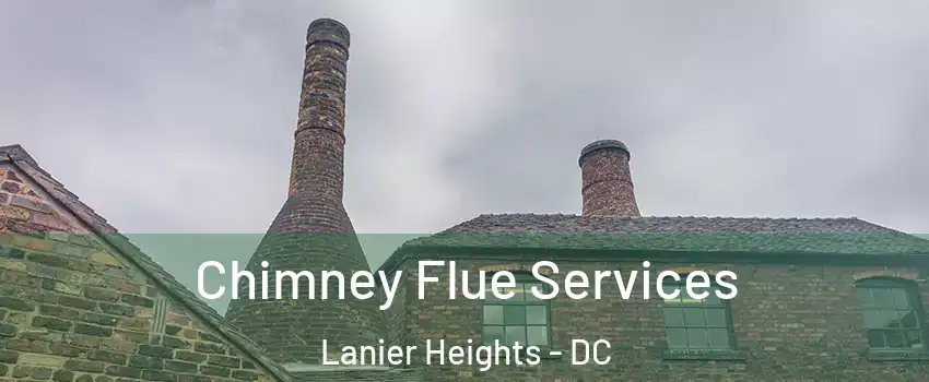 Chimney Flue Services Lanier Heights - DC