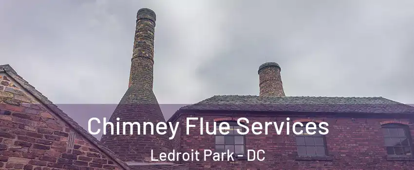 Chimney Flue Services Ledroit Park - DC