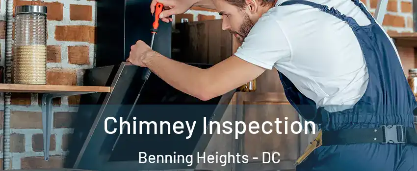 Chimney Inspection Benning Heights - DC