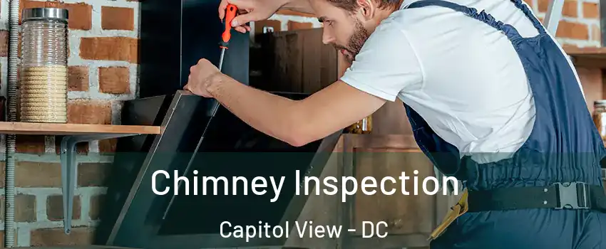 Chimney Inspection Capitol View - DC
