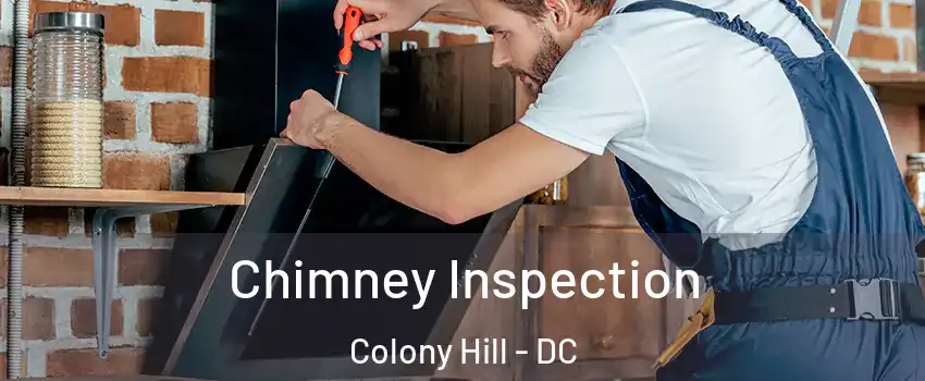 Chimney Inspection Colony Hill - DC