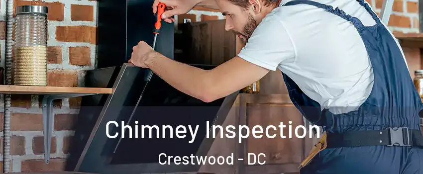 Chimney Inspection Crestwood - DC
