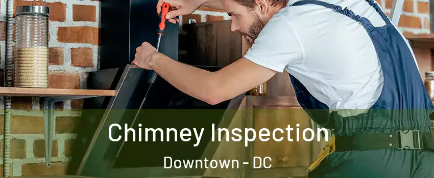 Chimney Inspection Downtown - DC