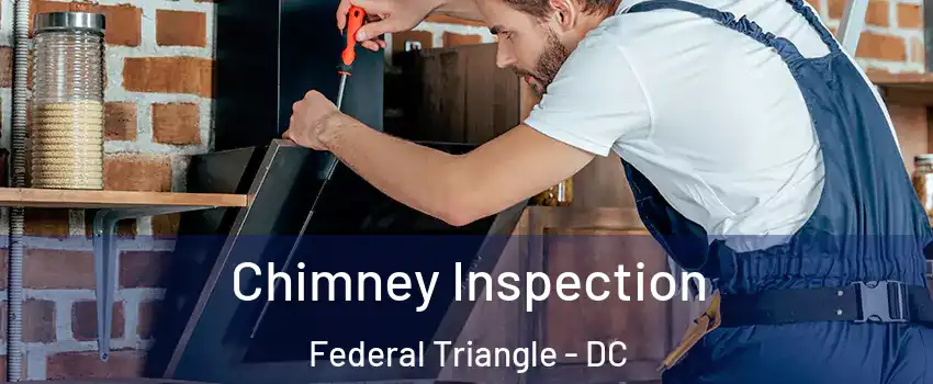 Chimney Inspection Federal Triangle - DC