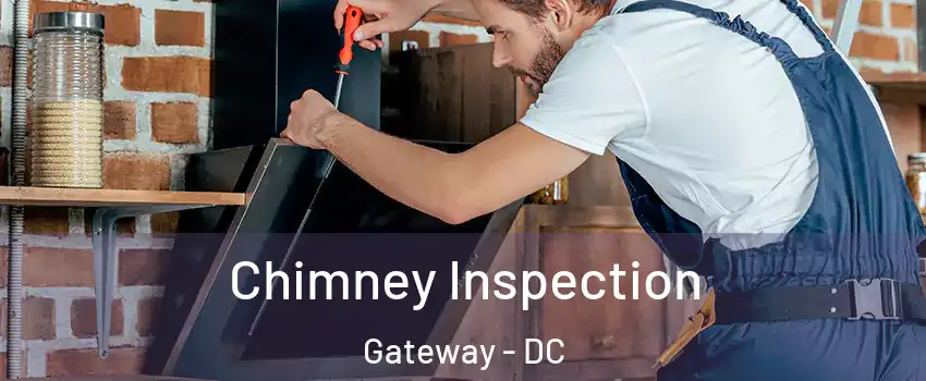 Chimney Inspection Gateway - DC