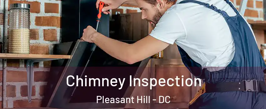 Chimney Inspection Pleasant Hill - DC