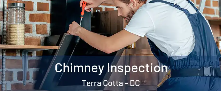 Chimney Inspection Terra Cotta - DC