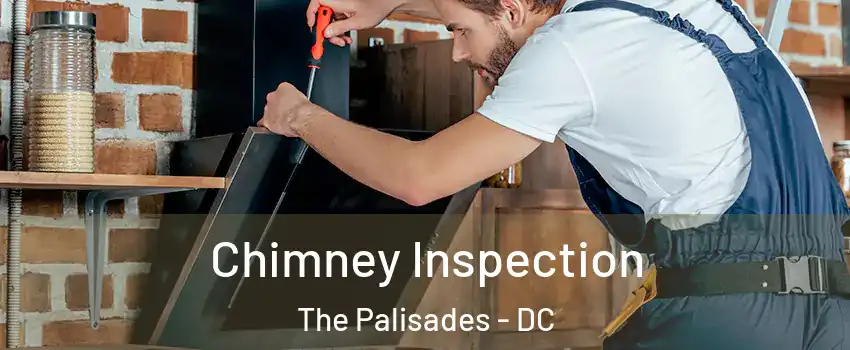 Chimney Inspection The Palisades - DC
