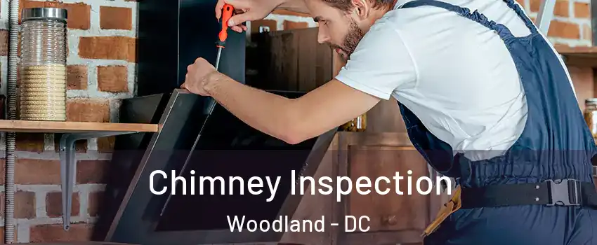 Chimney Inspection Woodland - DC