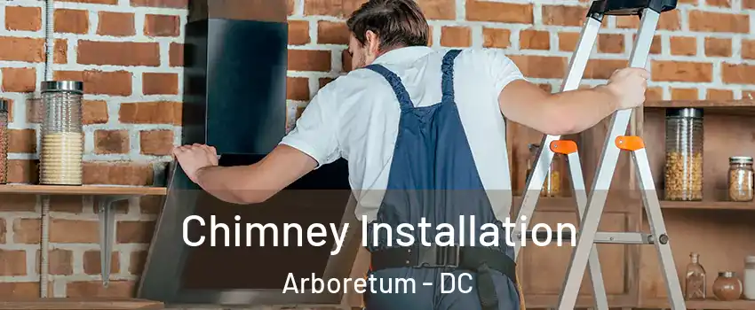 Chimney Installation Arboretum - DC