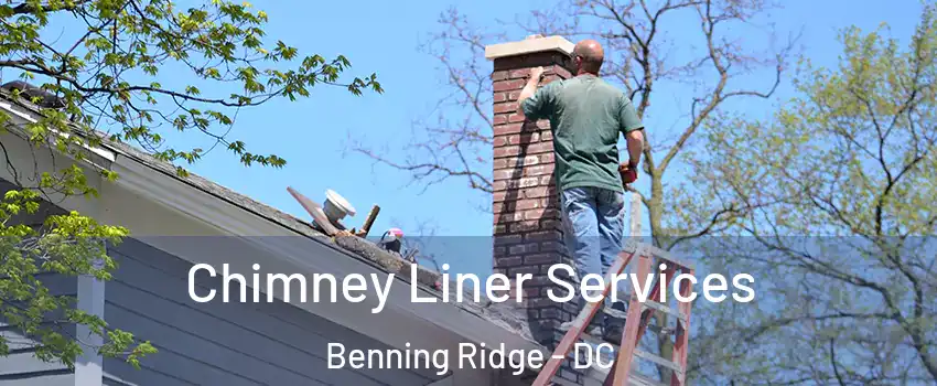 Chimney Liner Services Benning Ridge - DC